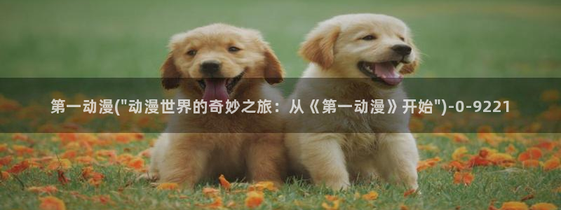 电影动漫
