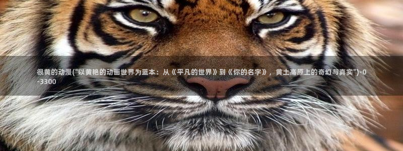 露点动漫