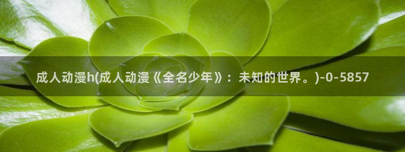 58动漫