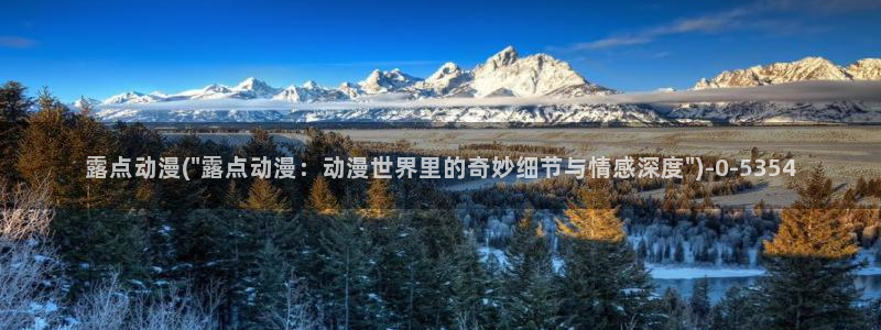 全职高手动漫免费观看