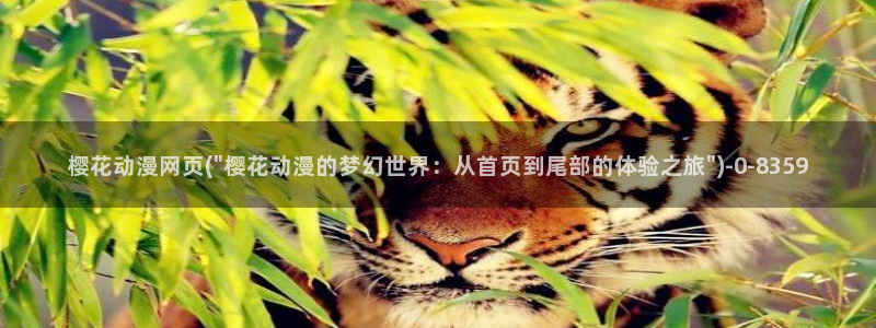 斗罗大陆动漫免费观看