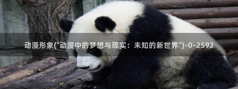 动漫下载
