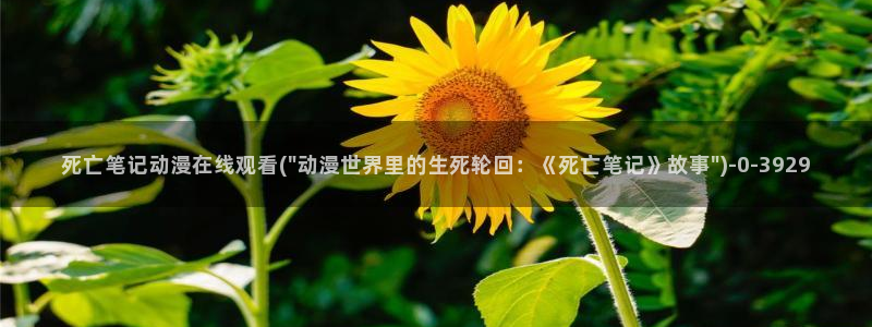 acg动漫网
